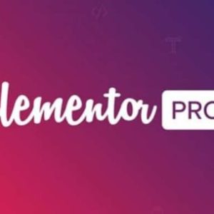 Elementor Pro v3.33.1 + Elementor Core v3.33.1